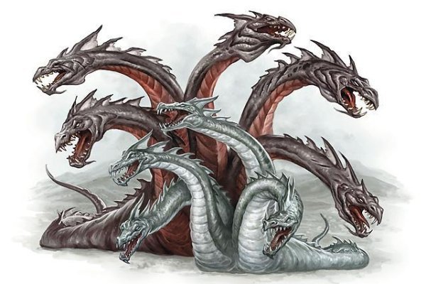 Kraken link
