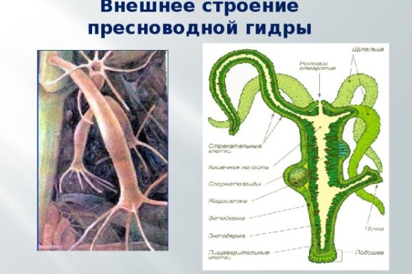 Оригинальный сайт кракен