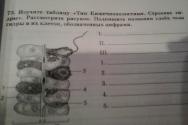 Kraken рабочий
