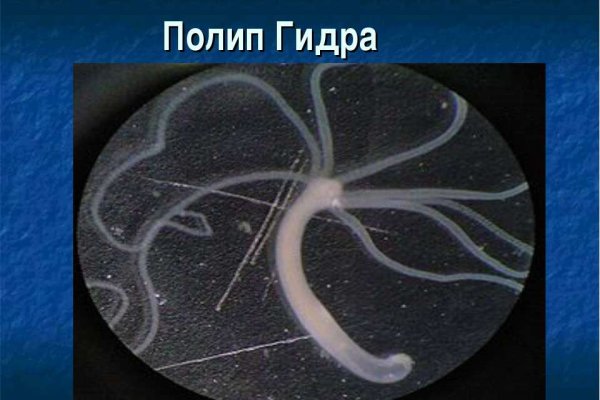 Кракен площадка kr2web in