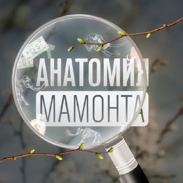 Магазины наркотиков