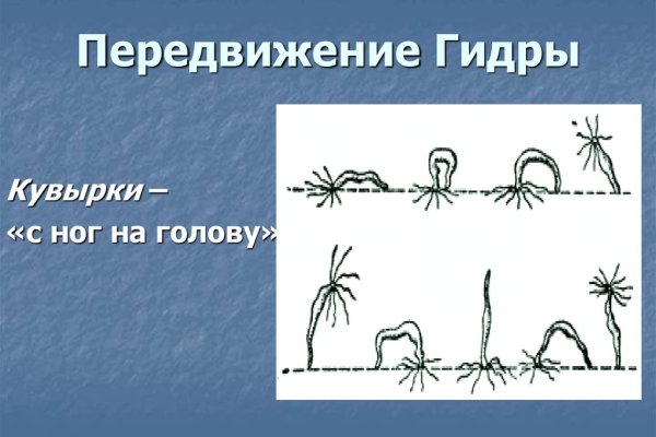 Кракен через тор