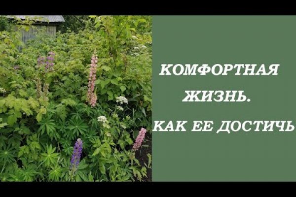 Kraken россия