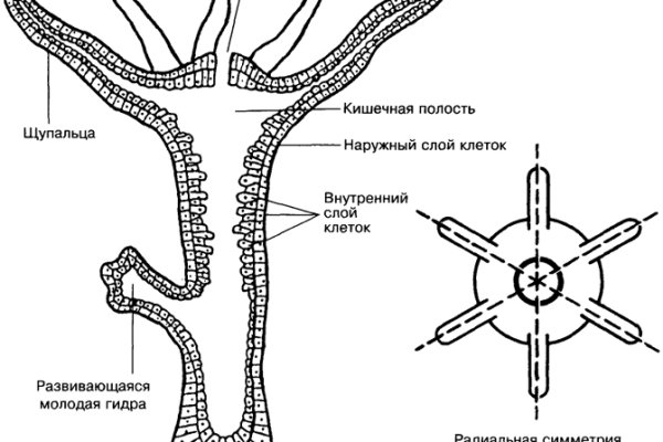 Кракен драг