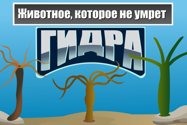 Кракен новое зеркало
