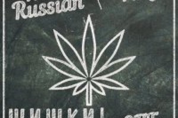 Kraken даркнет gigageek ru