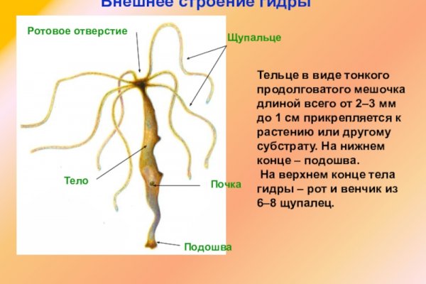 Кракен актуальная ссылка на сегодня