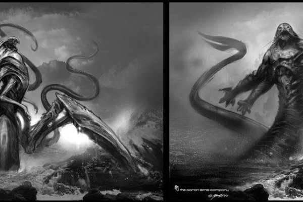 Kraken рынок