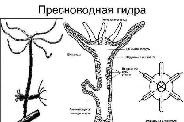 Кракен адрес даркнет