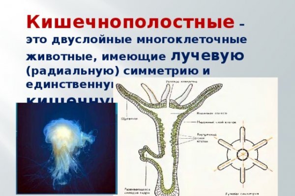 Кракен маркет даркнет только через тор скачать