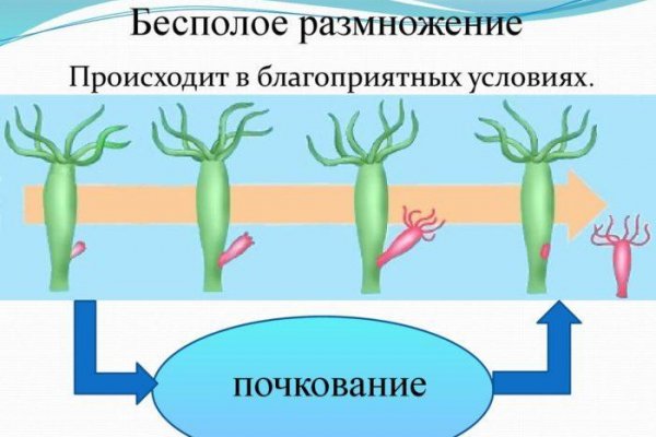 Кракен наркоплощадка